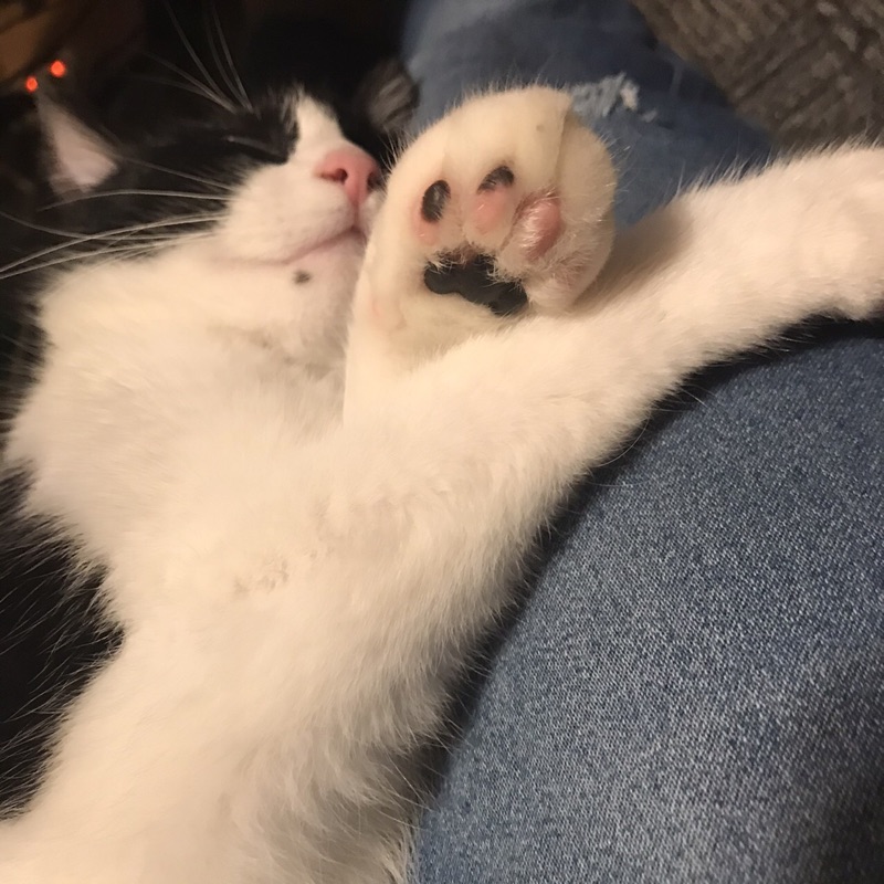 ポンあや