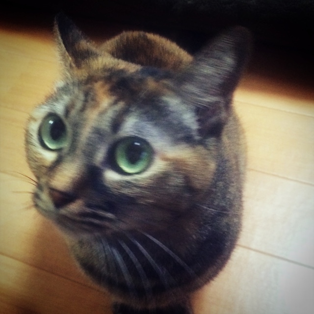 尾方　加奈子