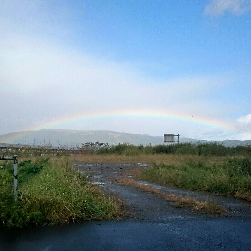 はな