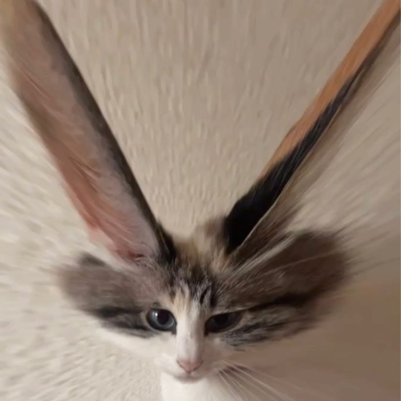 こ