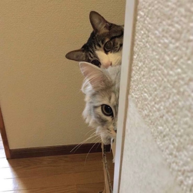 川野　幸笑