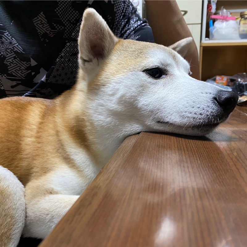 海老名 桂津美