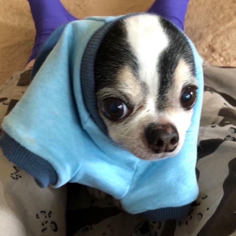 Hana
