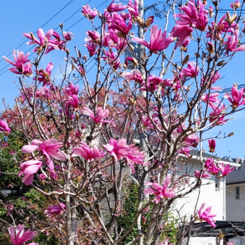 宮崎　裕子