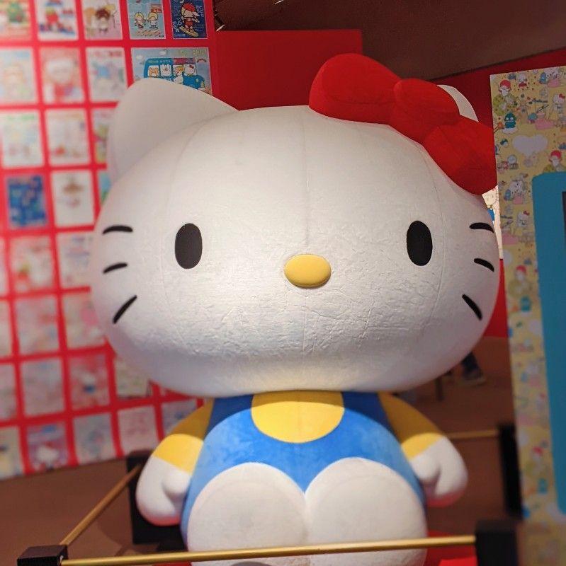 日野　友美