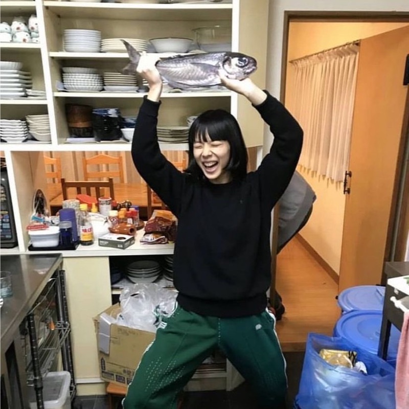 朋華