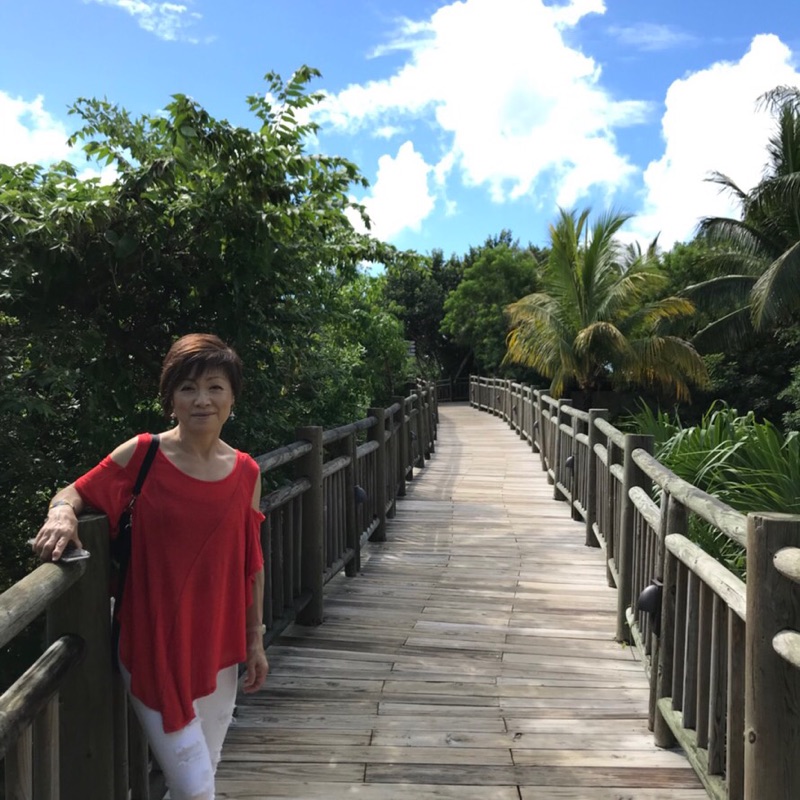平野美恵子