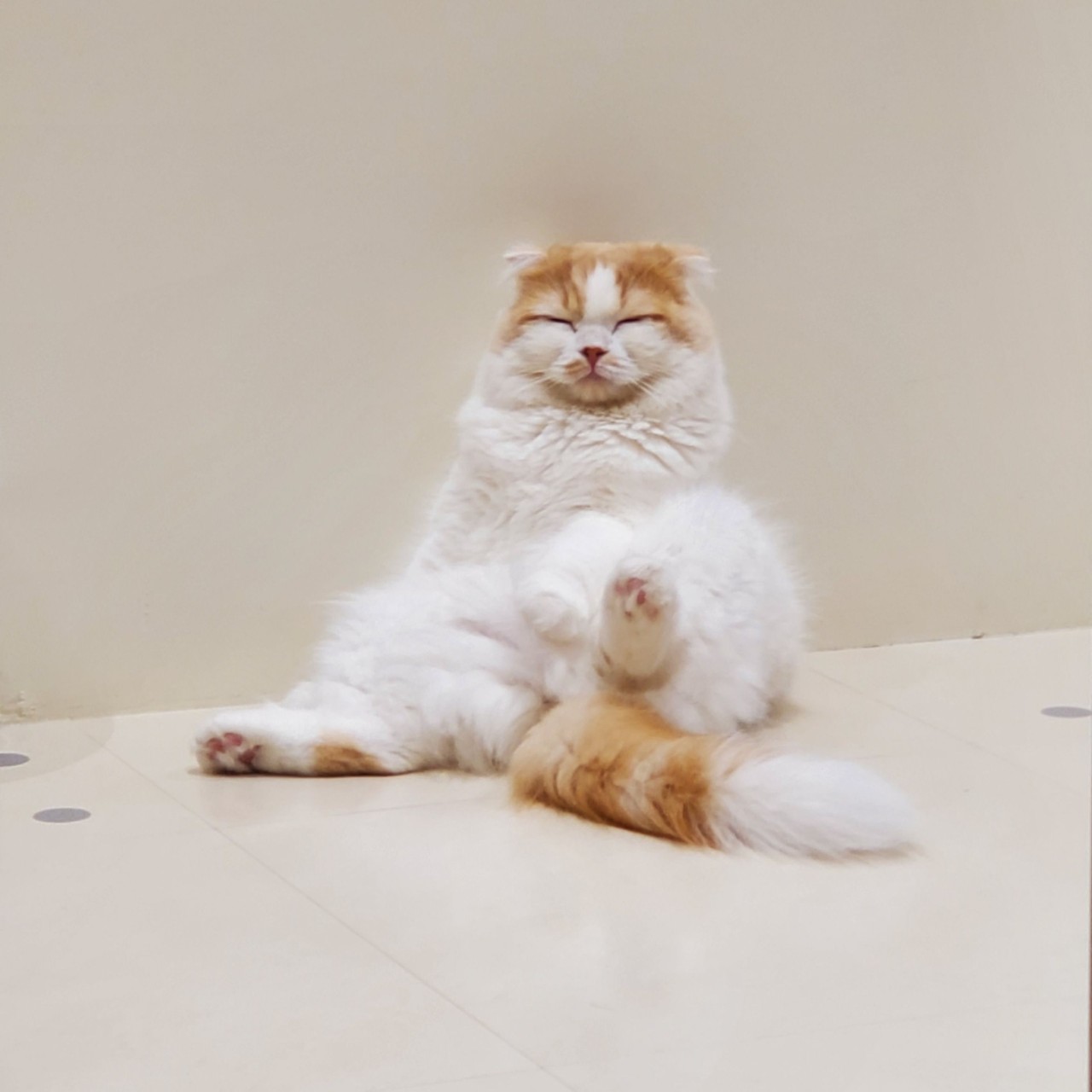 呉 佳澄
