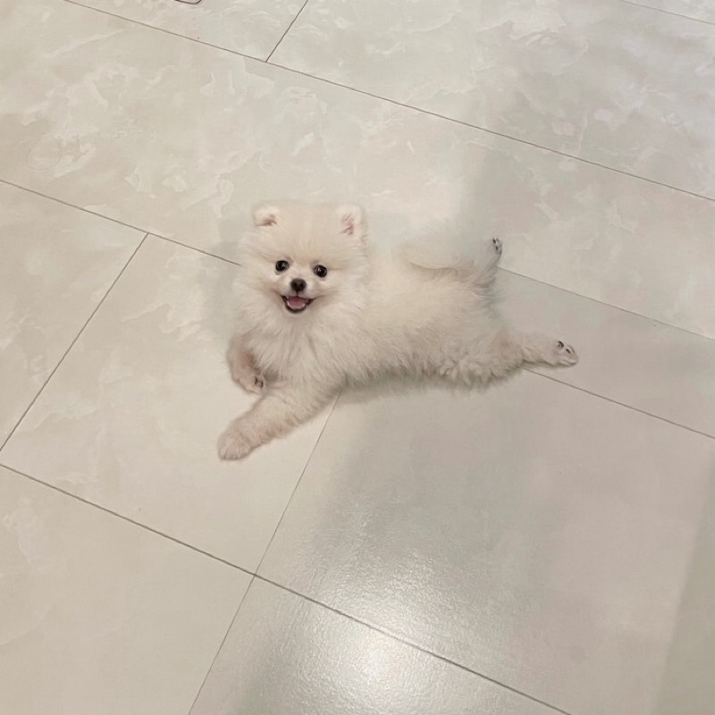 ぴ