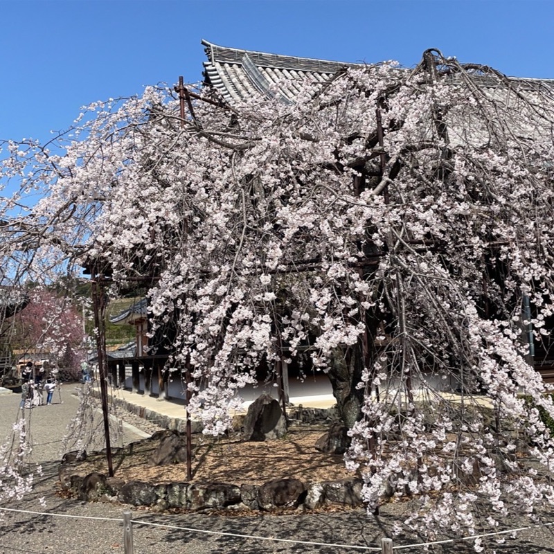平岩　修次