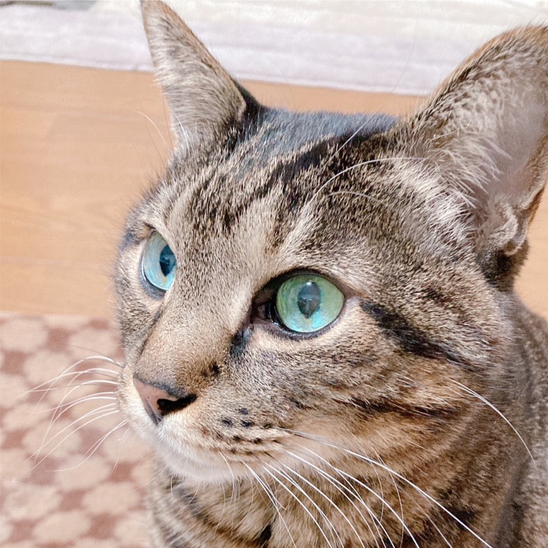 なお
