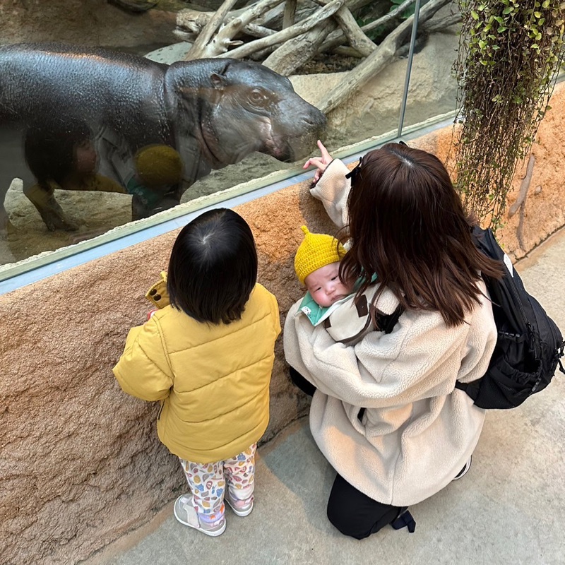 ウマママ