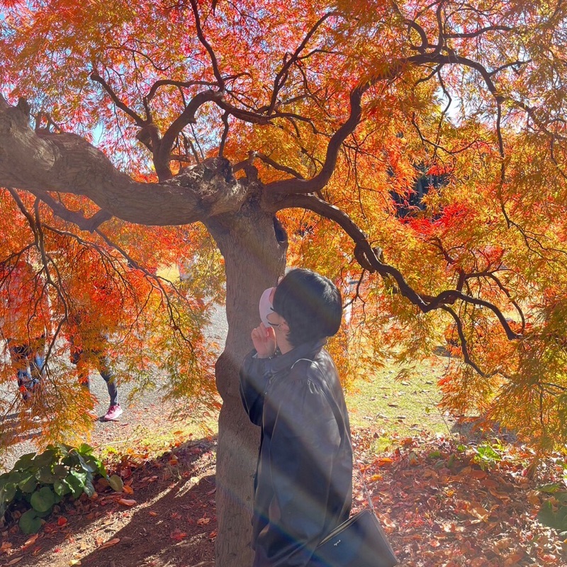 hana