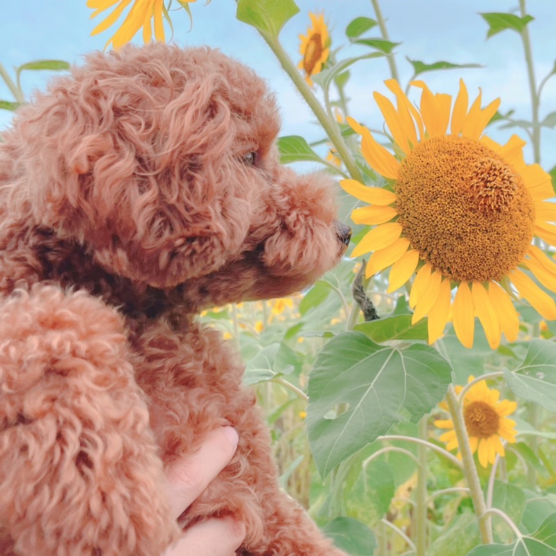 ★★★★★
