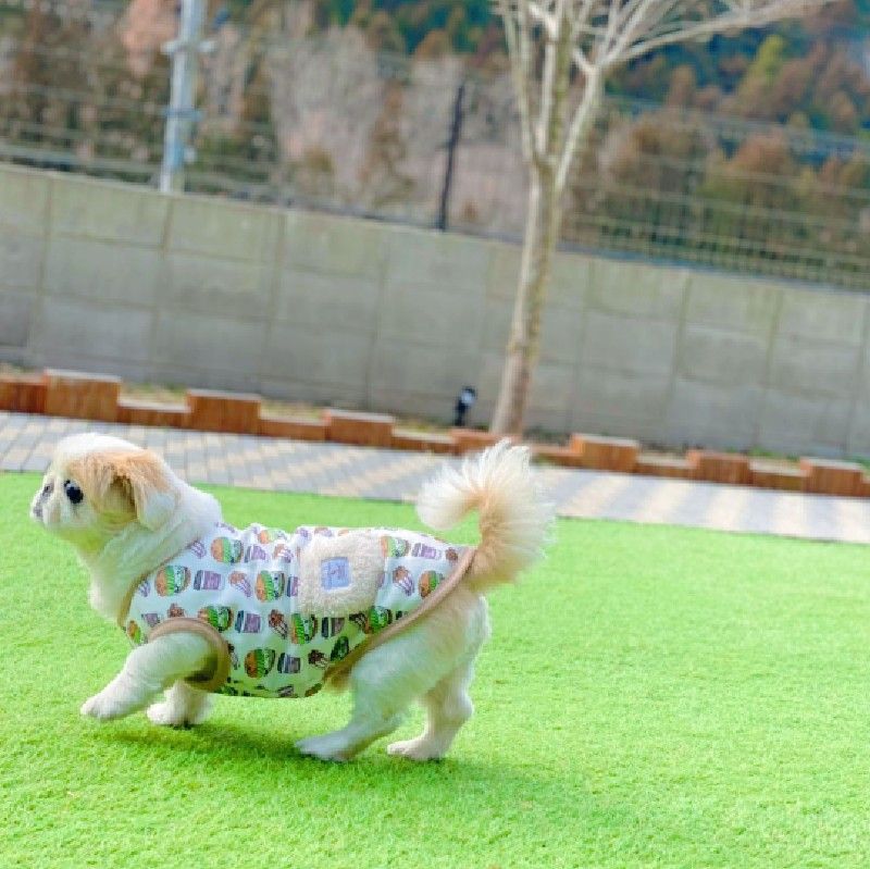 ふうたママ