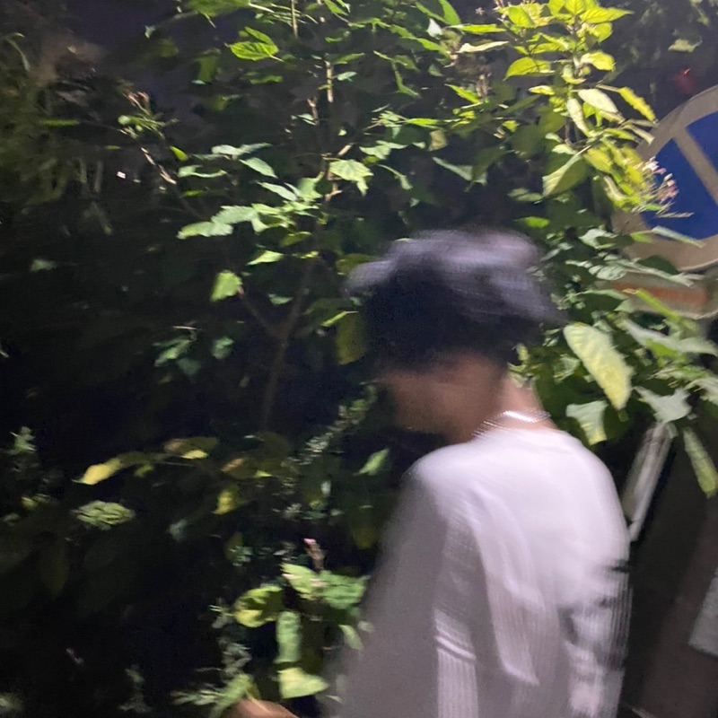 タパ アユス