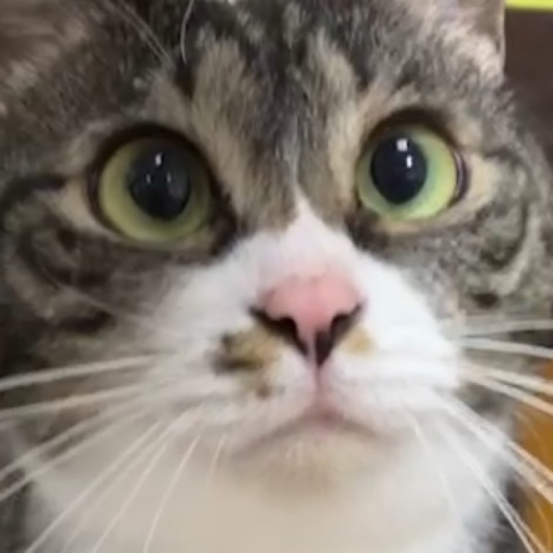 ゆ