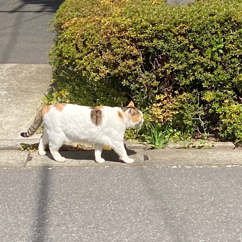 森山　京子