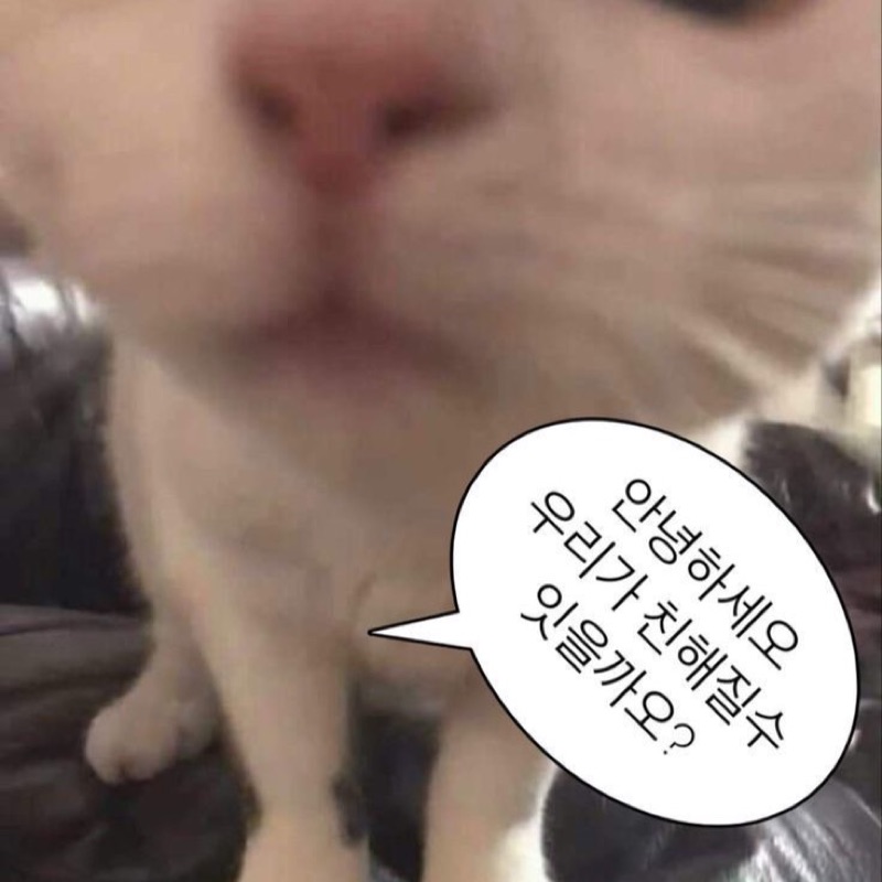 ぱく