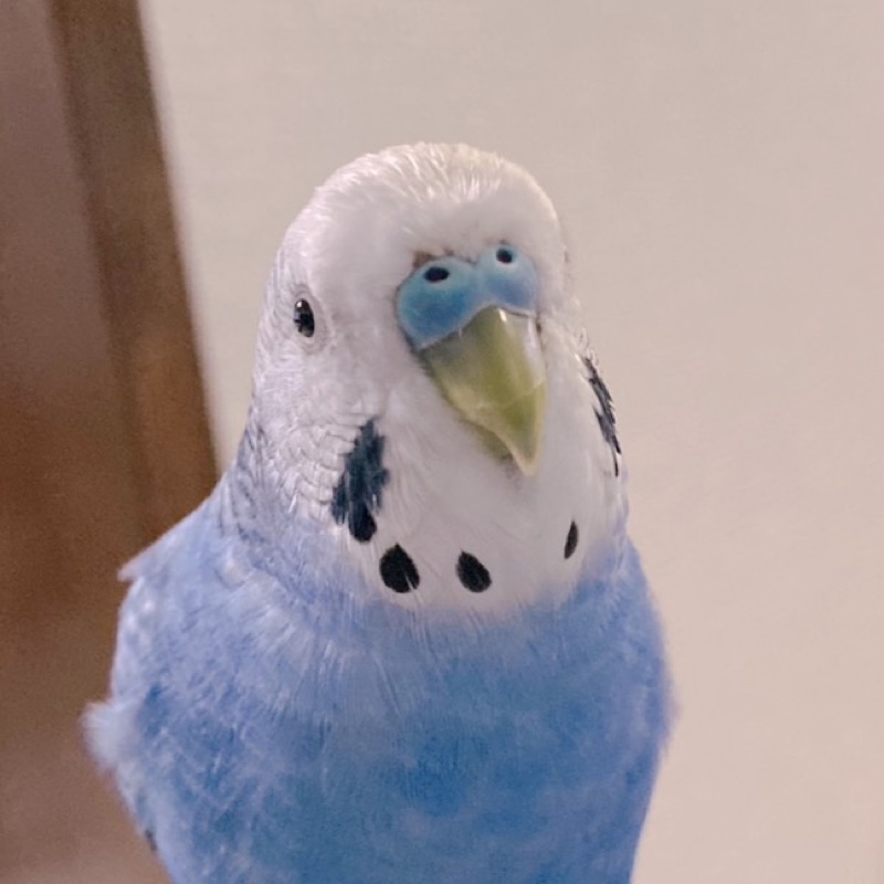 みな