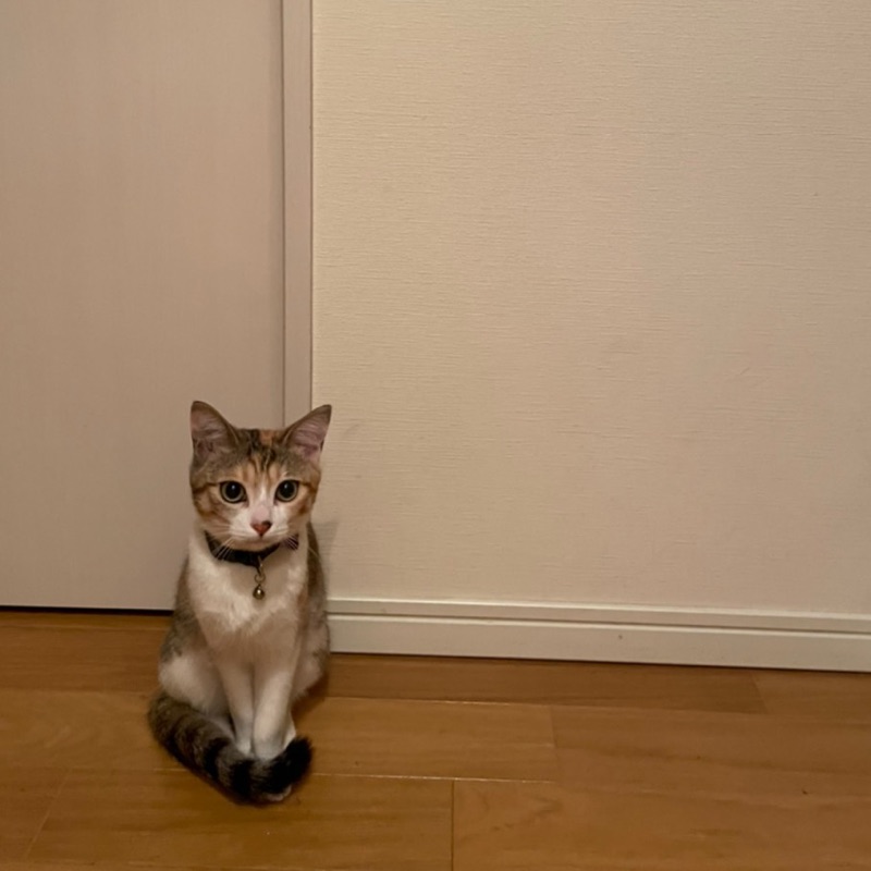 ひろ