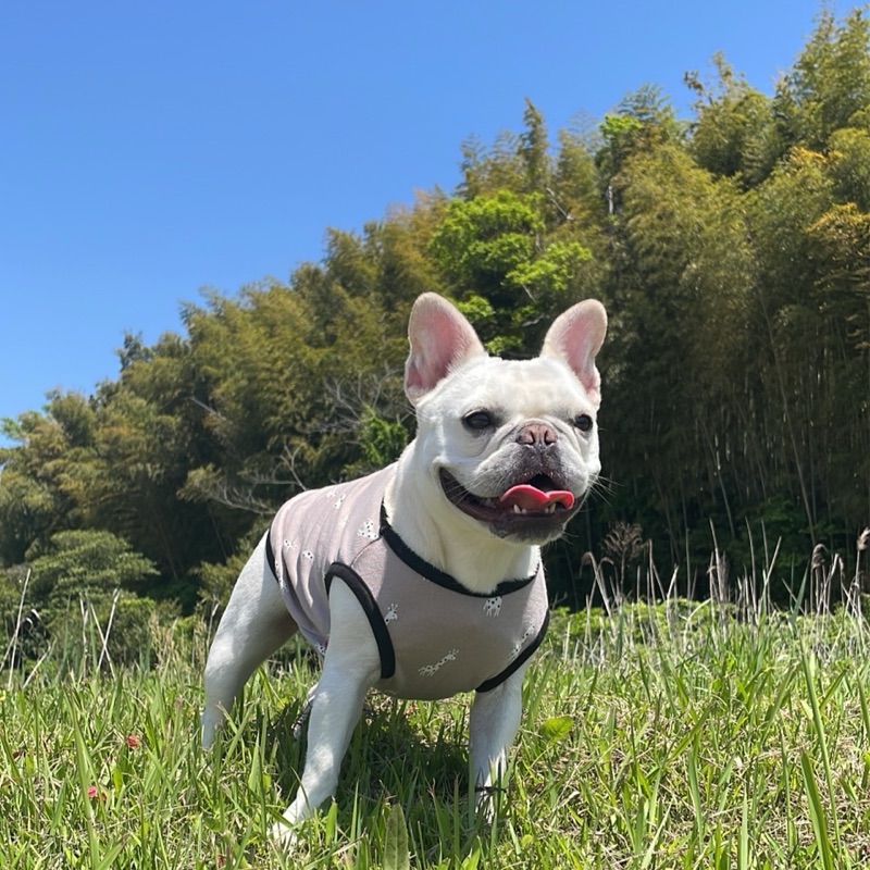 やすk