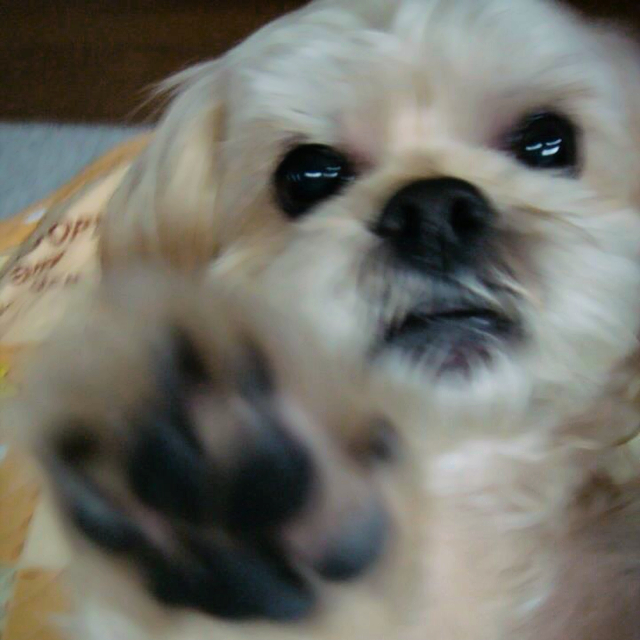 まみ