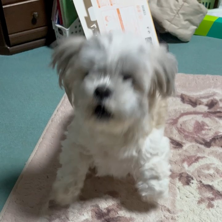 たき