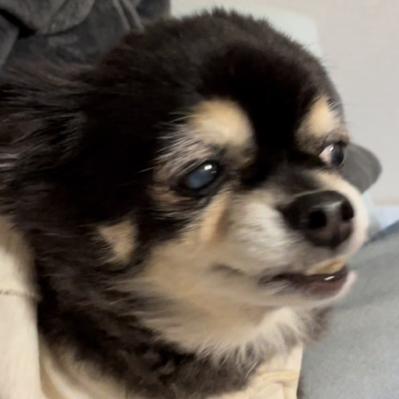 キタノ