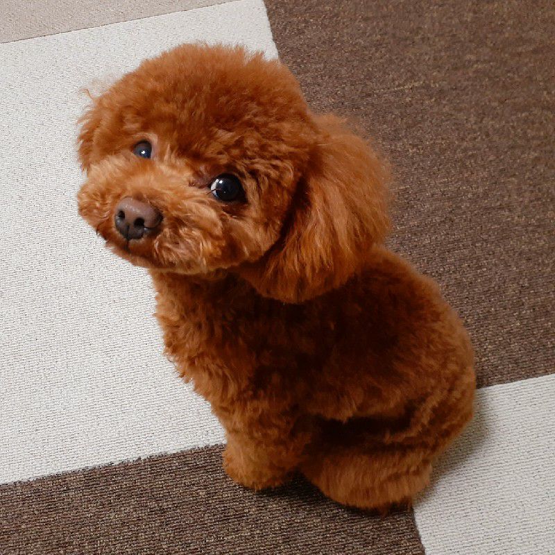 中尾久代