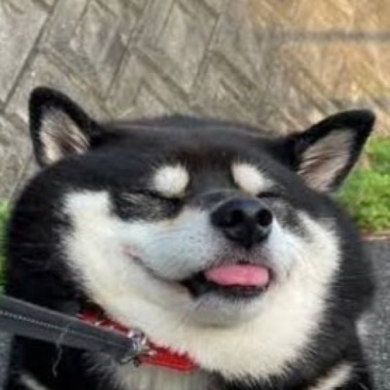 丸