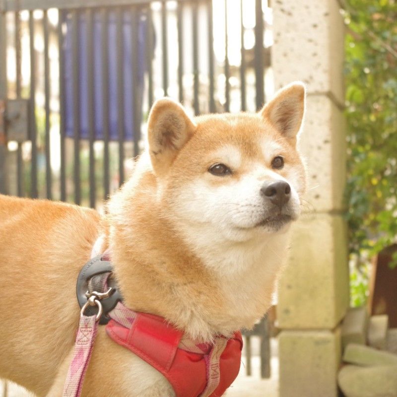 門田　颯真