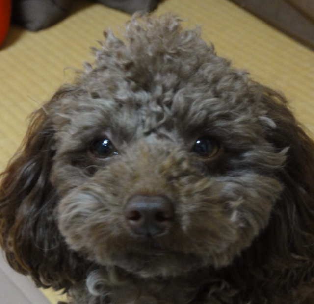 中山　良子