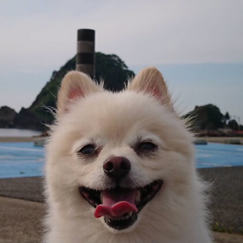 つばさ