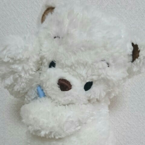 すぎすぎ