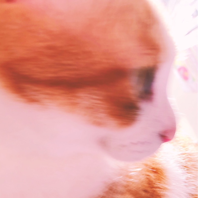 たかはし
