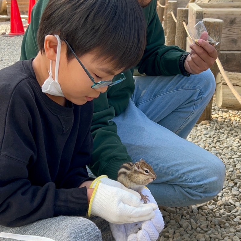 えとり