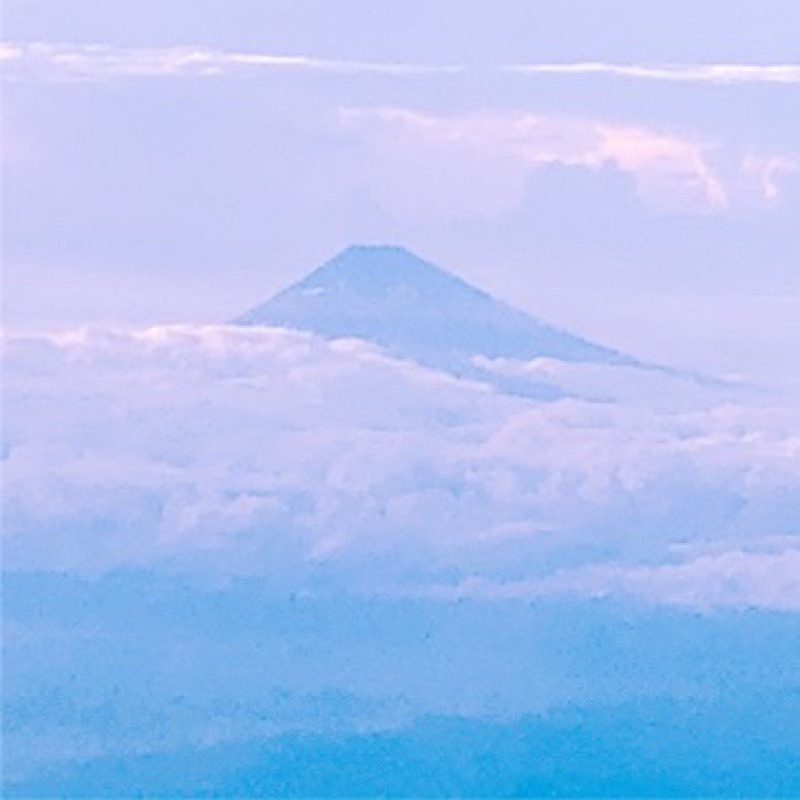 ヤザワ