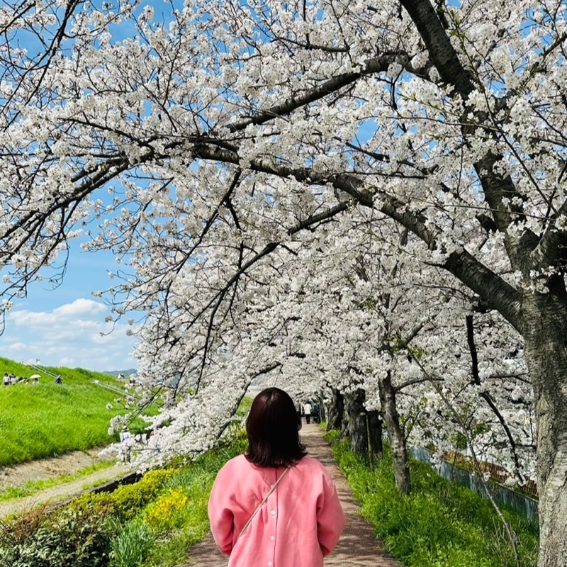 おもち。
