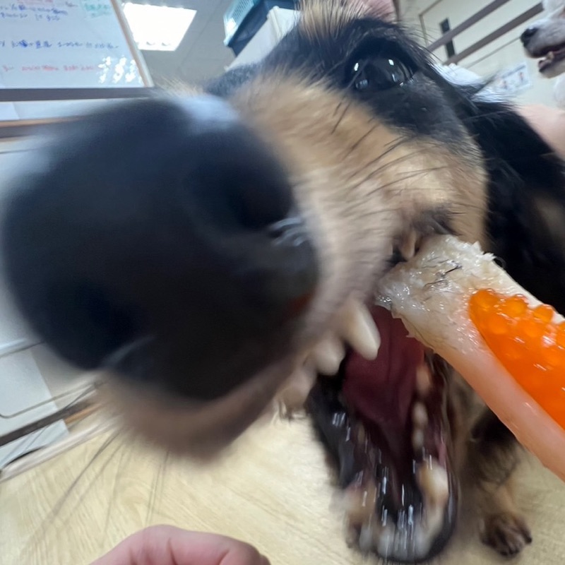 ぱむ