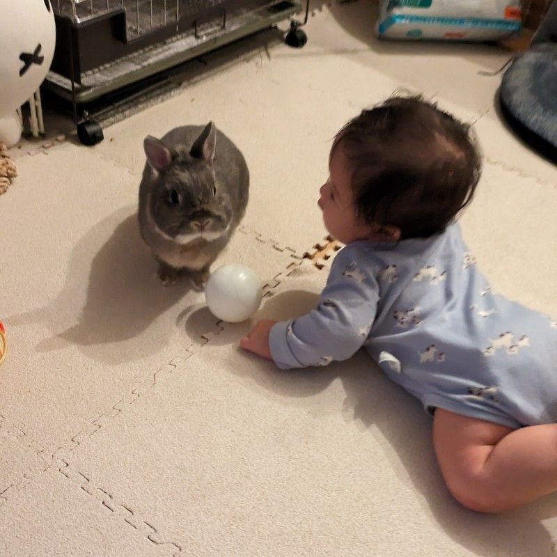 ひさの