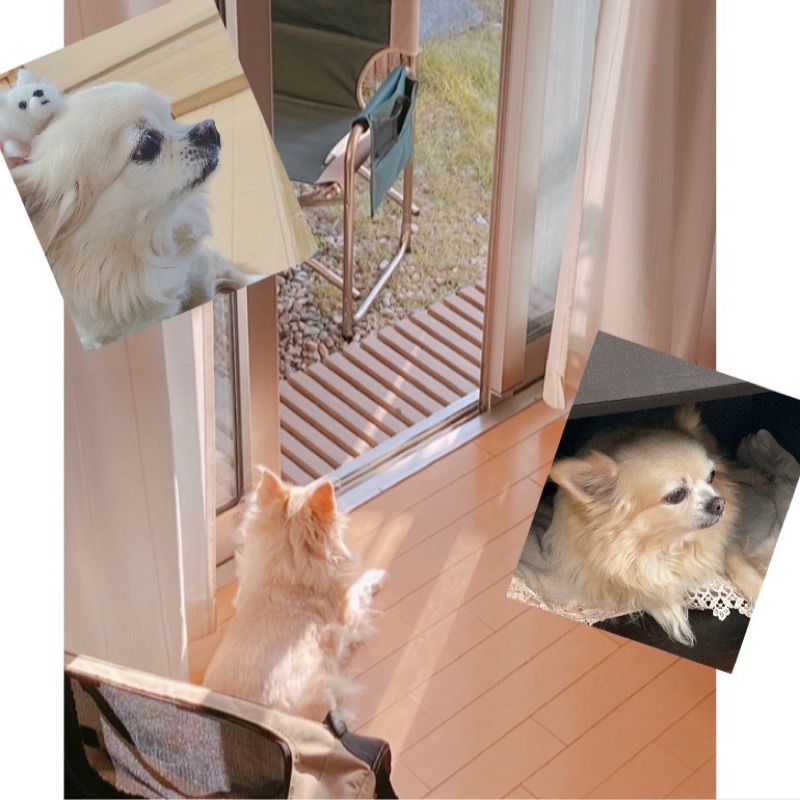 寺本あんず