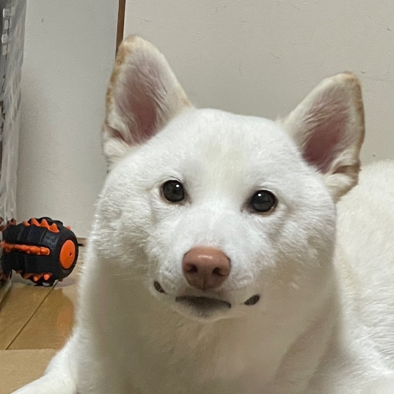 赤江　卓也