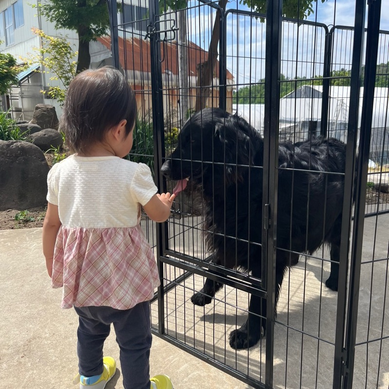 さいとう