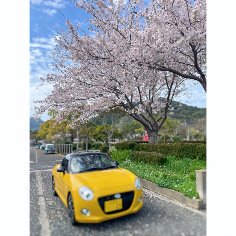 今田　瑞妃