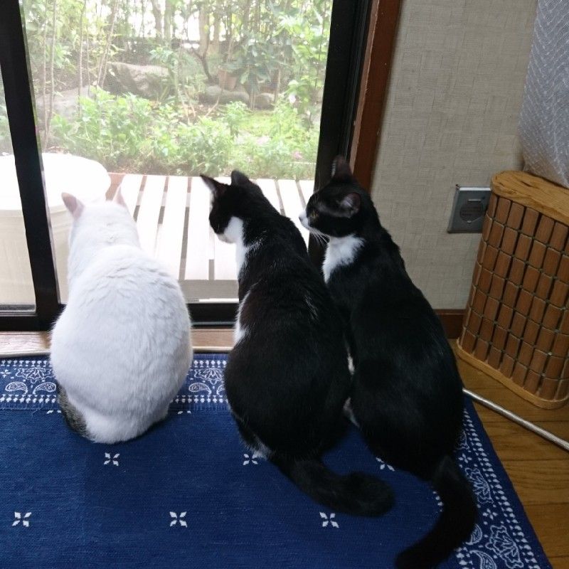 北岡こず江