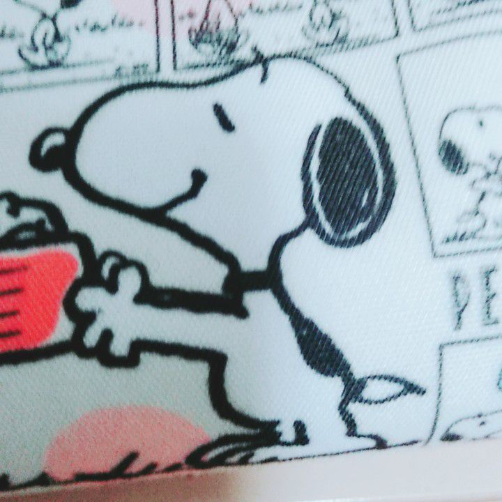 こんこん
