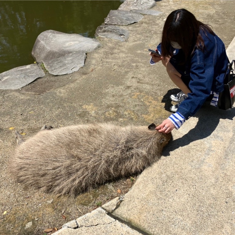 後藤