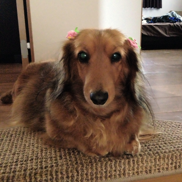 菊地