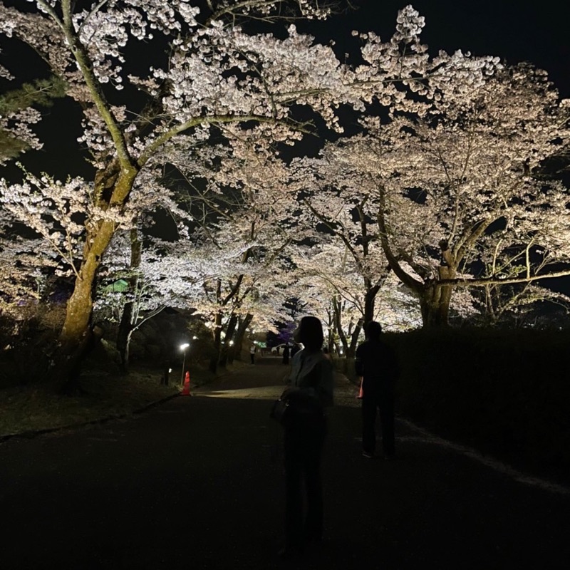 は